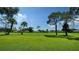 Lush green backyard with mature trees, perfect for outdoor activities and relaxation at 4848 Greywood Ln, Sarasota, FL 34235