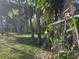 Lush backyard with a chainlink fence and a variety of tropical trees and vegetation at 5013 Village Gardens Dr # 34, Sarasota, FL 34234