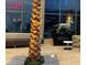 Mall interior with unique palm tree sculpture and seating areas, creating a welcoming atmosphere at 5013 Village Gardens Dr # 34, Sarasota, FL 34234