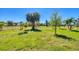 Expansive backyard features lush lawn and mature trees at 507 W Cashew, Punta Gorda, FL 33955