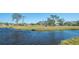 Serene pond view with lush greenery, offering a peaceful backdrop to the property at 5688 Pipers Waite # 50, Sarasota, FL 34235
