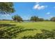 Scenic golf course view showcasing lush green grass and a tranquil lake surrounded by trees at 6637 Taeda Dr, Sarasota, FL 34241
