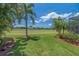Expansive green backyard with mature palm trees and manicured landscaping at 8004 River Preserve Dr, Bradenton, FL 34212