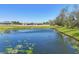 Scenic view of a large pond with algae, surrounded by lush greenery and homes in the distance at 11037 77Th E St, Parrish, FL 34219
