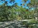 Street view showcasing mature trees, lush landscaping, and glimpses of well-maintained homes at 1110 93Rd Nw St, Bradenton, FL 34209