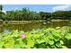Beautiful pond with lily pads and tropical vegetation reflecting the bright blue sky above at 1110 93Rd Nw St, Bradenton, FL 34209