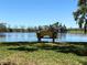 Scenic view of a serene pond with a bench, surrounded by lush greenery and clear blue skies at 1110 93Rd Nw St, Bradenton, FL 34209