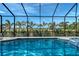 Relaxing screened-in pool features beautiful blue water, lush landscaping, and clear blue skies at 1110 93Rd Nw St, Bradenton, FL 34209