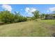 Green backyard featuring a lush lawn with mature trees and natural landscaping at 12659 Sorrento Way, Bradenton, FL 34211
