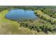 Aerial view of a pond surrounded by trees and greenery at 22354 Panther Loop, Bradenton, FL 34202