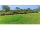 Spacious, well-maintained yard with lush green grass and various plants at 22354 Panther Loop, Bradenton, FL 34202