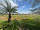 Picturesque view of the community with tropical landscaping and open green spaces at 2334 Felicity Pl, North Port, FL 34289