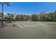 Scenic community tennis court surrounded by lush greenery and mature trees on a clear day at 4134 63Rd E Ter, Sarasota, FL 34243