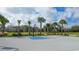 Community basketball court with a hoop and many palm trees, providing a recreational space for residents at 6410 Rosehill Farm Run, Bradenton, FL 34211