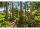 Secluded backyard landscaping with mature trees and foliage offering privacy and a tranquil outdoor space at 7713 Fairway Woods Dr # 902, Sarasota, FL 34238