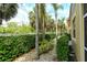 Landscaped backyard with palm trees and well-maintained hedges offering privacy at 7979 Limestone Ln # 14-101, Sarasota, FL 34233