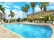 Sparkling community pool with lounge chairs, umbrellas, and palm trees, creating a resort-like atmosphere at 7979 Limestone Ln # 14-101, Sarasota, FL 34233