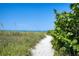 Scenic beach path through tall grass and lush greenery, leading to the ocean at 826 Oak Briar Ln, Osprey, FL 34229