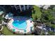 Overhead shot of the Island Reef community pool surrounded by lawn chairs, umbrellas, and palm trees for a relaxing atmosphere at 8779 Midnight Pass Rd # 106H, Sarasota, FL 34242