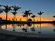 Community pool view with palm trees silhouetted by a beautiful sunset at 9928 Bright Water Dr, Englewood, FL 34223