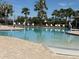 A community pool with multiple chairs and palm trees under a sunny sky at 15517 Rose Grove Dr, Bradenton, FL 34212