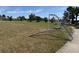 A verdant soccer field with a full-sized goal is ideal for recreational play at 15517 Rose Grove Dr, Bradenton, FL 34212