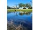 Peaceful water view showcasing ducks swimming across the serene pond at 1862 Orangewood Ln, Sarasota, FL 34232