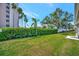Manicured backyard features green lawn, privacy hedges, and tall palm trees against a blue sky at 2407 Waterford Ct, Palmetto, FL 34221