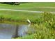 Picturesque pond with lush vegetation, and serene water views, complemented by a great egret at 2625 Terra Ceia Bay Blvd # 506, Palmetto, FL 34221