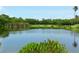Relaxing view of a serene pond reflecting the natural greenery of the surrounding area at 2625 Terra Ceia Bay Blvd # 506, Palmetto, FL 34221