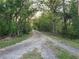 Long, winding driveway lined with trees, creating a private and scenic entrance to the property at 28120 63Rd E Ave, Myakka City, FL 34251