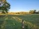 Expansive green field with clear blue skies and distant trees, showcasing the property's ample space at 28120 63Rd E Ave, Myakka City, FL 34251
