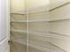 A pantry with multiple tiers of wire shelving offers lots of storage space at 428 Grand Preserve Cv, Bradenton, FL 34212