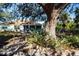 Backyard with mature tree, rope swing, screened porch, and established landscaping at 4360 Flamingo Blvd, Port Charlotte, FL 33948