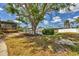 Large tree and canal in the backyard at 4406 17Th W St, Palmetto, FL 34221