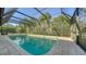 Private screened-in swimming pool surrounded by lush greenery, providing a relaxing oasis at 4737 Meadowview Cir, Sarasota, FL 34233