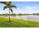 Beautiful backyard with a serene lake view, lush lawn and mature palm tree landscaping at 4820 Coastal Days Ln, Bradenton, FL 34211