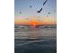 Beautiful sunset with birds soaring above reflecting on the ocean waters at 1080 Peppertree W Ln # 602, Sarasota, FL 34242
