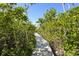 Pathway through a dense green foliage tunnel at 111 Faubel St, Sarasota, FL 34242