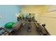Community gym showcasing various exercise machines, weights, and fitness equipment at 1250 N Portofino Dr # 203, Sarasota, FL 34242