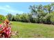 Expansive backyard features lush green lawn, mature trees, and natural landscaping; perfect for outdoor activities at 18013 Polo Trl, Bradenton, FL 34211