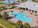 Aerial view of the community pool featuring lounge chairs, palm trees, and clubhouse in the background at 18013 Polo Trl, Bradenton, FL 34211