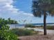 Secluded beach with a prominent palm tree and tranquil water, fringed by native vegetation at 3708 Plumosa Ter, Bradenton, FL 34210