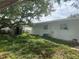 View of an expansive backyard with an included storage shed and some landscaping at 4431 W Wallace Ave, Tampa, FL 33611