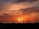Vibrant sunset over the ocean, with sea grass silhouetted in the foreground at 537 Gunwale Ln, Longboat Key, FL 34228