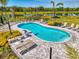 Aerial view of community pool area with lounge chairs, lake views, and beautiful landscaping at 9487 Tequila Sunrise Dr, Sarasota, FL 34241