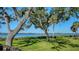 Serene backyard view with lush green grass, mature trees, and waterfront at 1440 Kimlira Ln, Sarasota, FL 34231