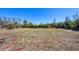 Large grassy backyard perfect for outdoor activities and enjoying the natural surroundings at 240 Spaniards Rd, Placida, FL 33946