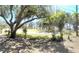 View of lush, mature landscaping and a grassy green space with walking path at 507 Parkdale Mews # 507, Venice, FL 34285