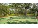 A beautiful outdoor basketball court with professional green paint surrounded by lush trees and nature at 6105 114Th E Dr, Parrish, FL 34219